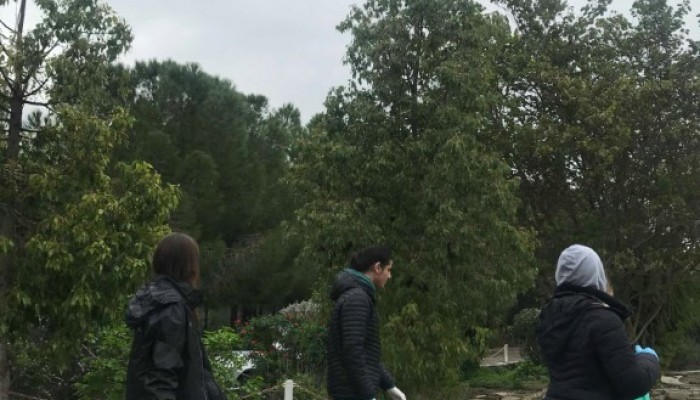 Eco-School - Clean up event